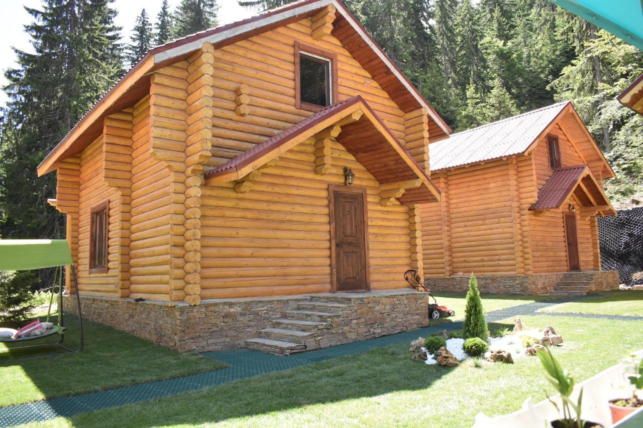Власовъ Pamporovo Exterior photo